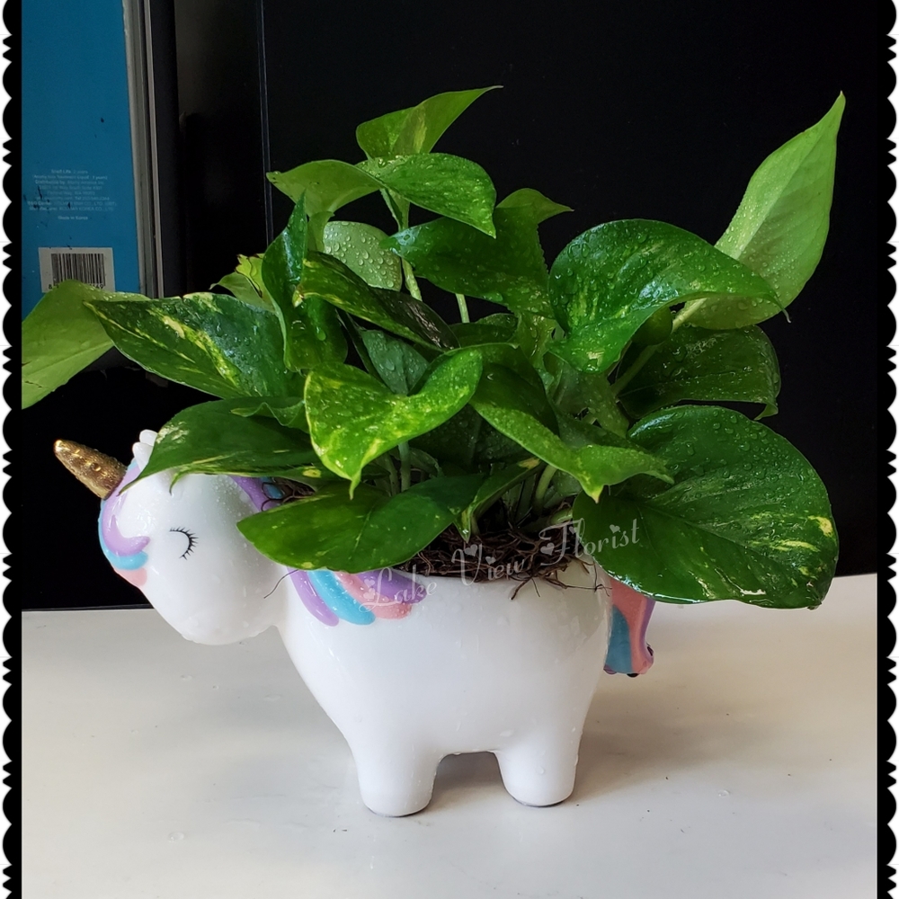 Teleflora Charmed Unicorn Keepsake
